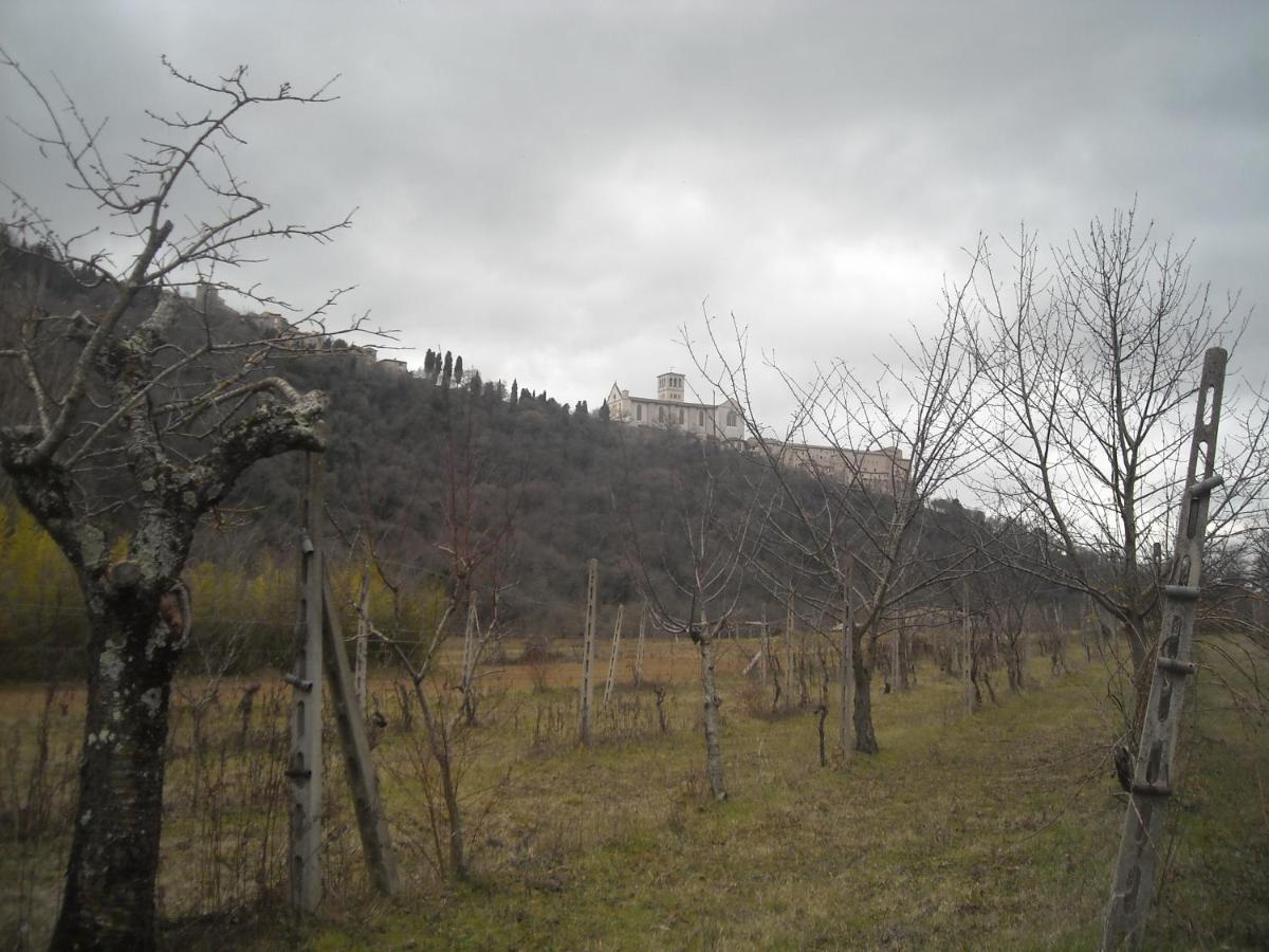 Camere Le Cascatelle Assisi Exterior photo